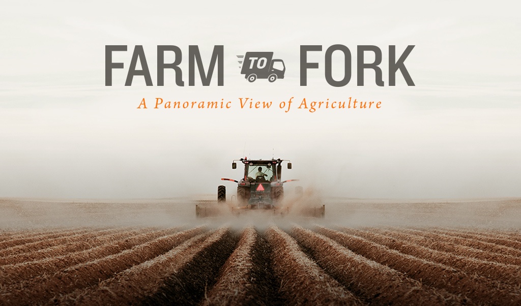 Farm To Fork ?width=3072&name=farm To Fork 